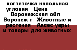 когтеточка напольная угловая › Цена ­ 1 500 - Воронежская обл., Воронеж г. Животные и растения » Аксесcуары и товары для животных   